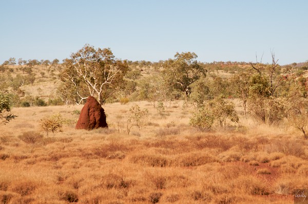 AustraliaPerth 10  138